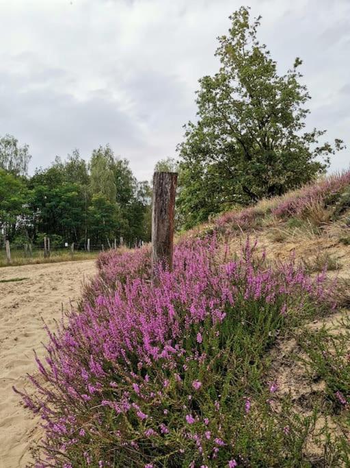 Fewo "Am Bienenstock" In Dallgow-Doberitz Zewnętrze zdjęcie